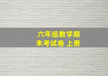 六年级数学期末考试卷 上册